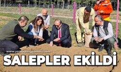 Salepler ekildi