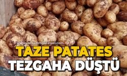 Zonguldak'ta taze patates tezgaha düştü
