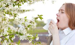 Bahar alerjilerine karşı öneriler