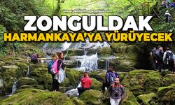 Zonguldak Harmankaya'ya yürüyecek