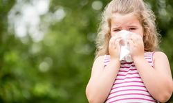 Çocuklarda mevsimsel alerjik rinite dikkat