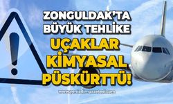 Zonguldak semalarında tehlike: Uçaklar kimyasal ilaç püskürttü!