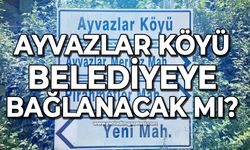 Ayvazlar Köyü Çaycuma Belediyesi'ne bağlanacak mı?