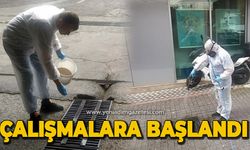 Çalışmalara başlandı