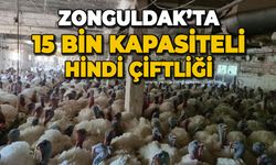 Zonguldak'ta 15 bin kapasiteli hindi çiftliği