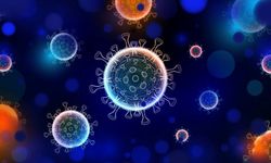 Koronavirüs aşırılarının yan etkilerine karşı öneriler