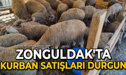 Zonguldak'ta kurban satışları durgun
