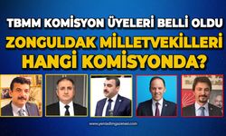 TBMM Komisyon üyeleri belli oldu: Zonguldak Milletvekilleri hangi komisyonda?