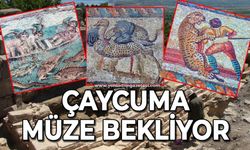 Çaycuma müze bekliyor