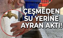 Çeşmeden su yerine ayran aktı!