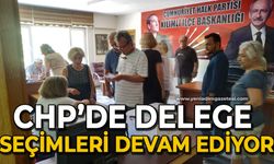 CHP'de delege seçimleri devam ediyor