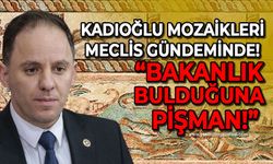 Deniz Yavuzyılmaz Kadıoğlu Mozaikleri konusunu meclise taşıdı: Bakanlık bulduğuna pişman!