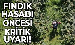 Fındık hasadı öncesi kritik uyarı!