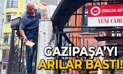 Gazipaşa Caddesi'nde arı istilası!