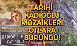 Tarihi Kadıoğlu Mozaikleri otlarla kaplandı: Bütçeye ne oldu?