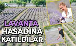 Lavanta hasadına katıldılar