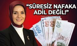 Mahinur Özdemir Göktaş: Süresiz nafaka adil değil!