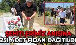 Şehitlerimiz anısına 251 adet fidan dağıtıldı