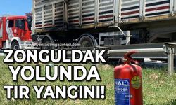 Zonguldak yolunda tır yangını