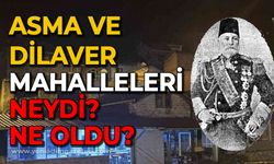 Zonguldak'ın Asma ve Dilaver mahalleri: Neydi? Ne oldu?