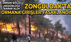 Orman Bölge Müdürlüğü karar aldı: Zonguldak'ta ormana giriş yasaklandı!