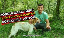 Zonguldaklı genç  2 bin Euro'luk mantarı köpeklerle arıyor