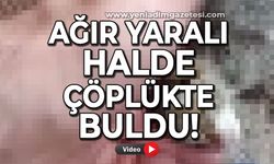 Ağır yaralı halde çöplükte buldu!