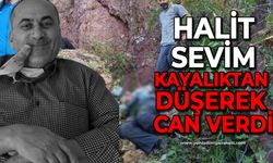 Halit Sevim kayalıktan düşerek can verdi