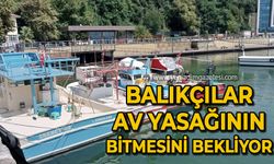 Zonguldak'ta balıkçılar av yasağının bitmesini bekliyor