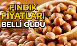 Zonguldak'ta fındık fiyatları belli oldu