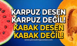 Karpuz desen karpuz değil kabak desen kabak değil!