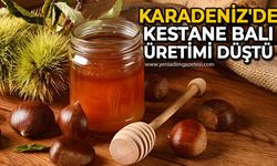 Karadeniz'de kestane balı üretimi düştü