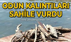 Odun kalıntıları sahile vurdu