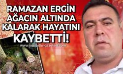 Ramazan Ergin ağacında altında kalarak hayatını kaybetti!