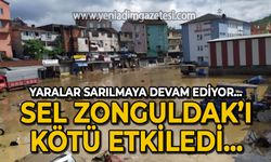 Sel Zonguldak'ı kötü etkiledi: Yaralar sarılmaya devam ediyor