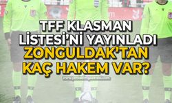 TFF Klasman Listesi'ni açıkladı: Zonguldak'tan hangi hakemler var?