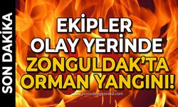 Zonguldak'ta orman yangını: Ekipler olay yerinde!
