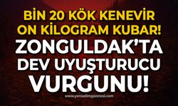 Zonguldak'ta dev uyuşturucu operasyonu: Bin 20 kök esrar!