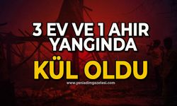 3 ev ve 1 ahır yangında kül oldu