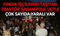 Fındık işçilerini taşıyan traktör şarampole yuvarlandı: Çok sayıda yaralı var!