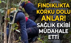 Fındıklıkta korku dolu anlar: Sağlık ekipleri müdahale etti!