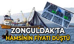 Zonguldak'ta hamsinin fiyatı düştü