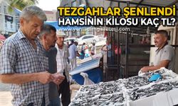 Zonguldak'ta tezgahlar şenlendi: Hamsinin kilosu kaç TL?