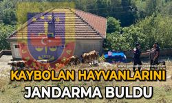 Vatandaşın kaybolan hayvanlarını jandarma buldu