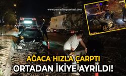 Ağaca hızla çarptı: Ortadan ikiye ayrıldı!