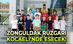 Zonguldak'ın rüzgarını Kocaeli'nde estirecekler
