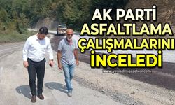 AK Parti asfalt çalışmalarını denetledi