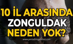 10 il arasında Zonguldak neden yok!