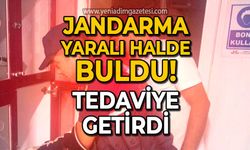 Jandarma yaralı halde buldu: Tedaviye getirdi!