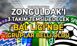 Bölgesel Amatör Lig'de gruplar belli oldu: Zonguldak'ı 3 takım temsil edecek